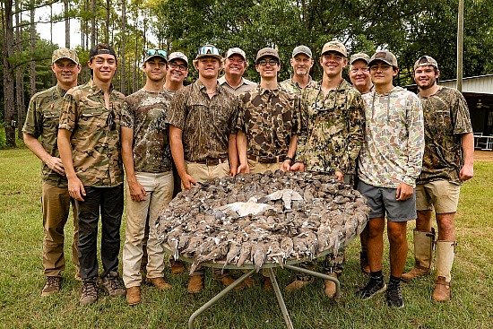 20250914 Bush Dove Hunt